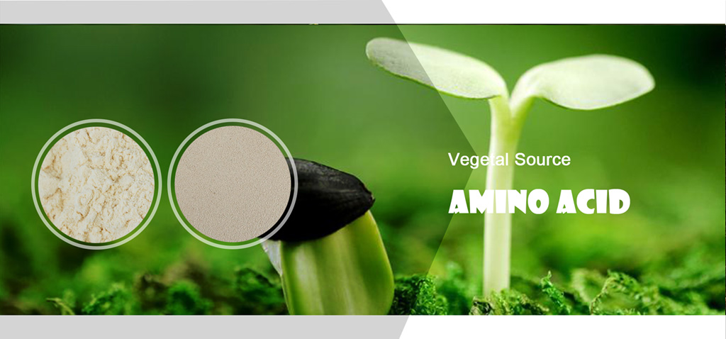 vegetal_amino_acid